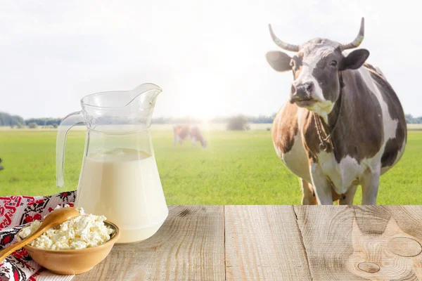 Lor ve süt inekler otlatma arka planda — Stok fotoğraf