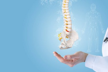 Doktor eli, omurganın mavi bir arka planda olduğunu gösteriyor..