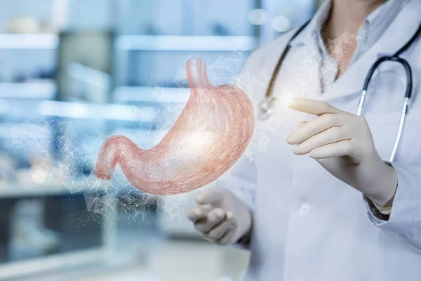 Diagnosekonzept Für Die Magenbehandlung Von Patienten Arzt Zeigt Auf Virtuellem — Stockfoto