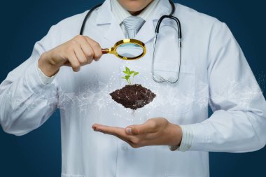 Bitki araştırma ve öğrenim konsepti. Doktor Sprout 'taki büyüteçten bakıyor..