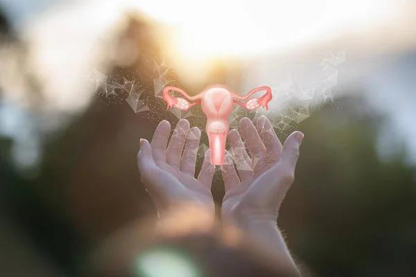 Gebärmutterhalshilfe Und Behandlungskonzept Hände Stützen Die Gebärmutter Vor Dem Hintergrund — Stockfoto