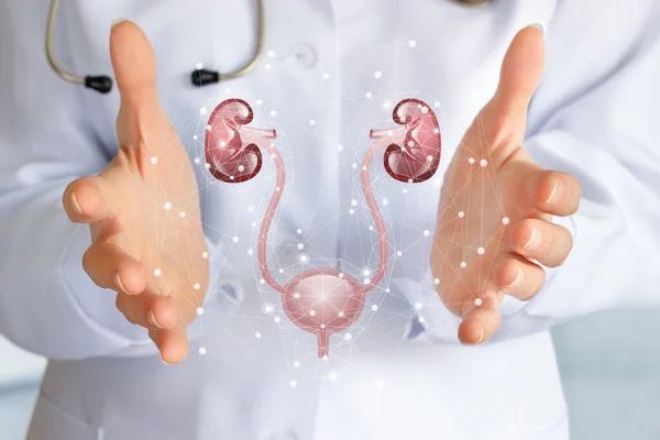 Hasta idrar sistemi desteği ve tedavi konsepti.