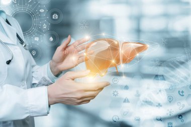 Hasta karaciğerine teşhis ve destek konsepti.