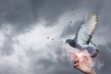 Güvercin avucunun içinden gökyüzünün arka planına ve ağa doğru uçar..