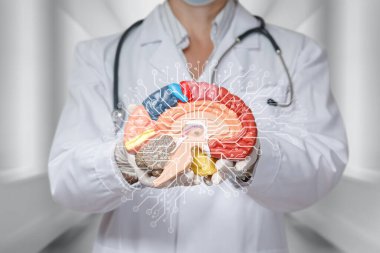 Yapay zeka kullanarak beyin fonksiyonu araştırması kavramı. Doktor beyni bulanık bir zeminde tutar..