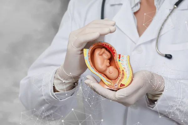 Koncepty Ochrany Plodu Podpory Během Těhotenství Lékař Chrání Embryo Rozmazaném — Stock fotografie