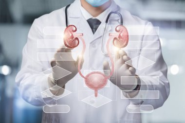 Hasta vücudundaki idrar sisteminin algoritma tedavisi kavramı.