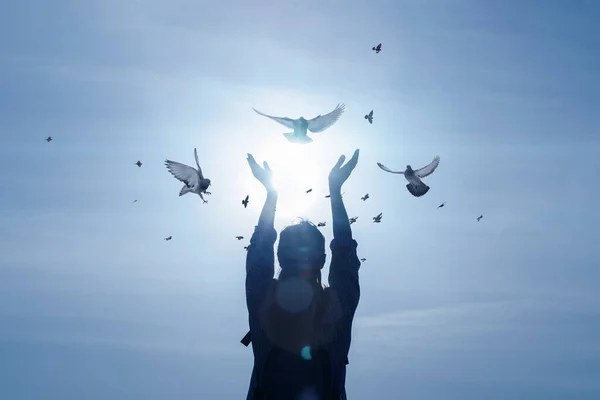 기도와 희망의 광경을 배경으로 나르는 비둘기 — 스톡 사진