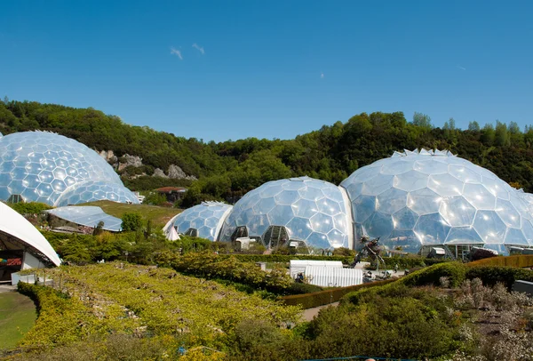 Eden Project Biomes and Landscapes — Stock Photo, Image
