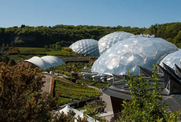 Eden Project Biomes and Landscapes — Stock Photo, Image