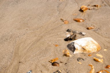 Pembe gerbera çiçekleri düğün