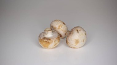 Ormanda mantarlar ve lezzetli