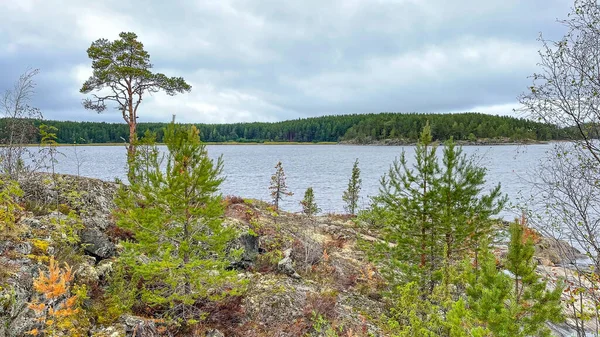 Ladoga Gölü 'ndeki orman ve kayalıklı adalar.