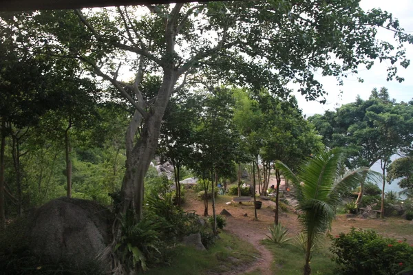 Pequeña isla en el mar — Foto de Stock