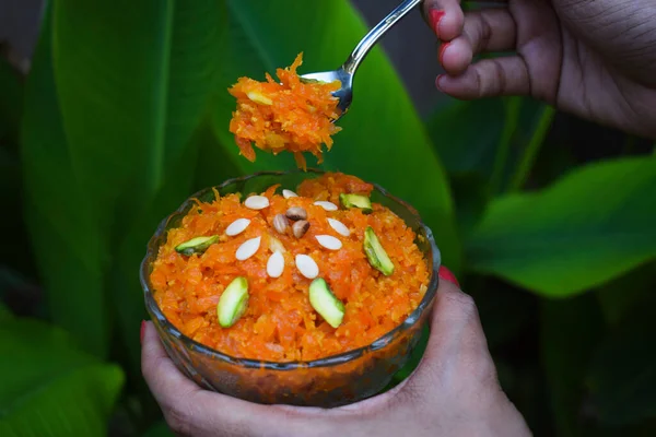 用坚果干水果装饰而成的味道鲜美的杜鹃花 烤胡萝卜布丁印度甜点放在碗里 用勺子盛甜食的女人手 — 图库照片