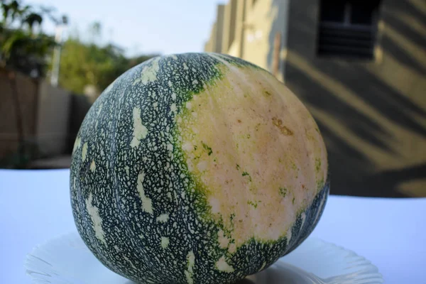 Vista Rovesciata Della Frutta Indan Zucca Utilizzata Anche Come Verdura — Foto Stock