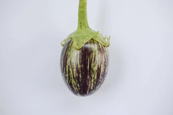 Indická Zelenina Brinjal Lilek Fialová Bílá Zelená Jeden Kus Izolovaný — Stock fotografie