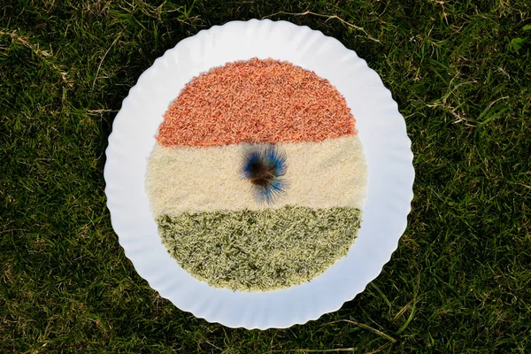 Індійська Тема Прапора Три Кольори Зображені Натуральними Рисовими Зернами Нагоди — стокове фото