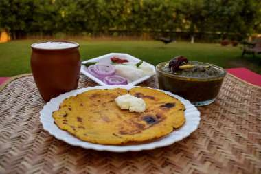 Makki di roti ve Sarson da saag 'in yan görüntüsü, hardal yaprakları köri ve mayasız mısır unu ekmeği otantik köy tarzında servis ediliyor. Arka planda tavus kuşu yürüyor..