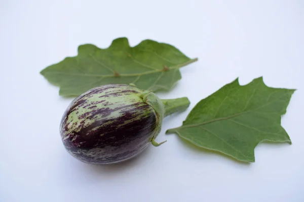 Brinjals Padlizsán Vagy Padlizsán Friss Indiai Zöldségek Vagy Gyümölcsök Lila — Stock Fotó