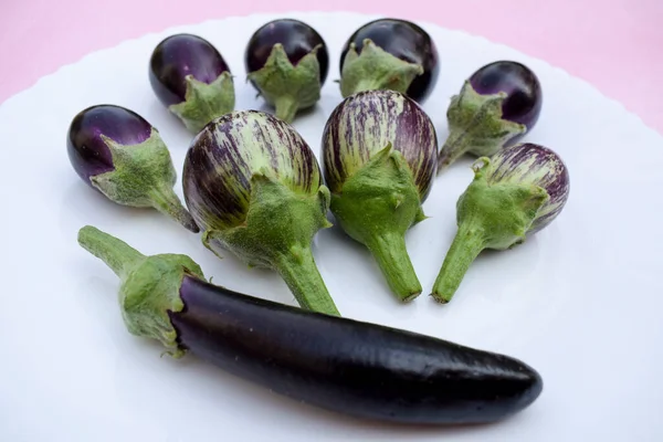 Három Különböző Típusú Brinjals Nevezik Padlizsán Padlizsán Sötét Lila Különböző — Stock Fotó