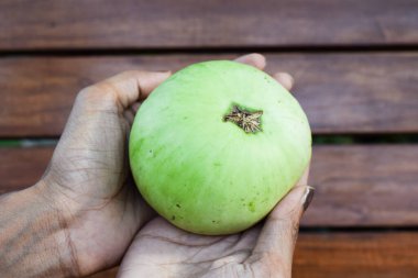 Kadın elinde yuvarlak bir şişe kabağı tutuyor. Hint Asyalı küre biçimli organik kabak koparılmış.