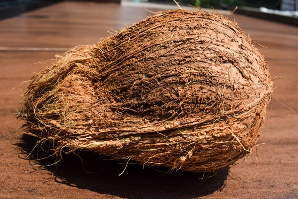 Raw Brown Whole Hard Coconut Fruit Vegetables India Also Known — Stockfoto