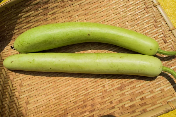 Bottlegourds Witte Bloem Kalebas Ook Wel Bekend Als Kalebas Zijn — Stockfoto