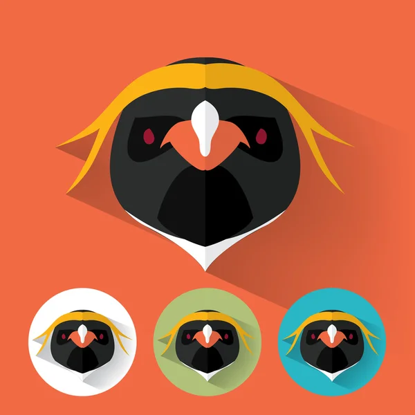 Zvířecí portrét s plochý design - tučňák — Stockový vektor