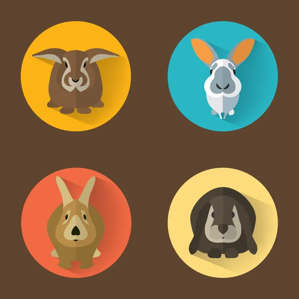 Set de retratos de animales con diseño plano — Vector de stock