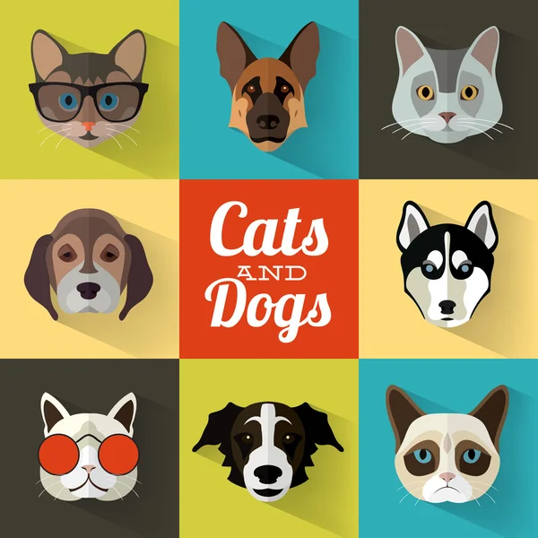 Conjunto de Retratos de Animais com Design Plano - Gatos e Cães — Vetor de Stock