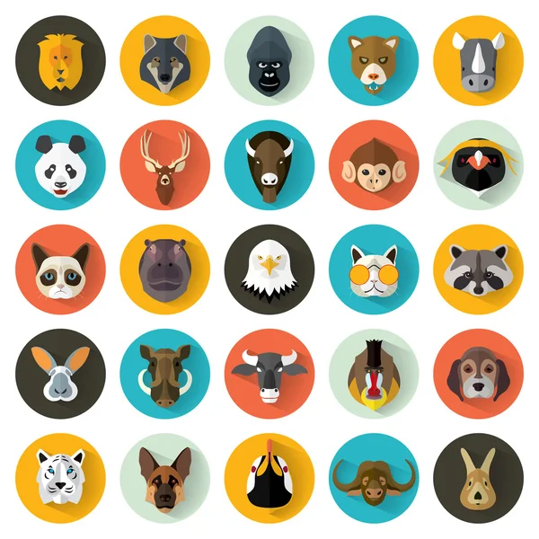 Conjunto de Retratos de Animais — Vetor de Stock