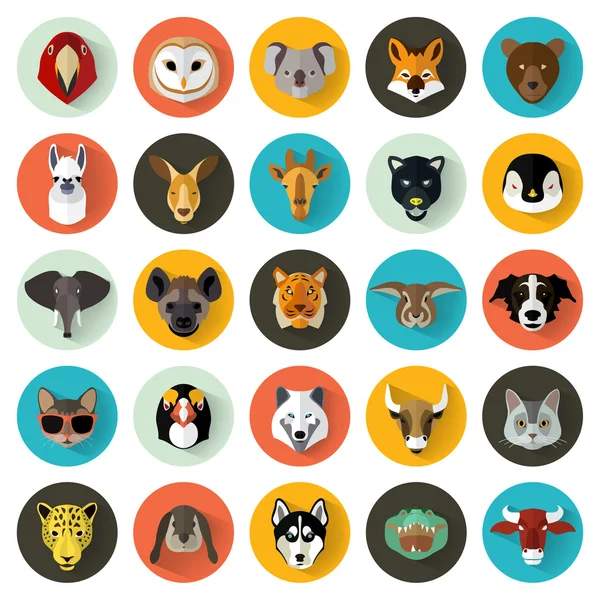 Animales retrato conjunto — Vector de stock