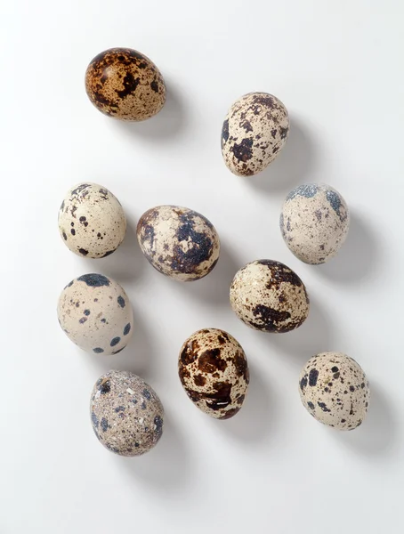 메 추 라 기 계란의 컬렉션 — 스톡 사진