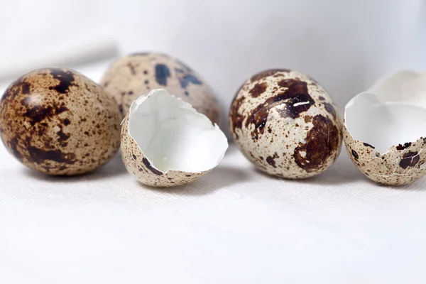 원시 및 메 추 라 기 계란 흰 식탁보에 — 스톡 사진