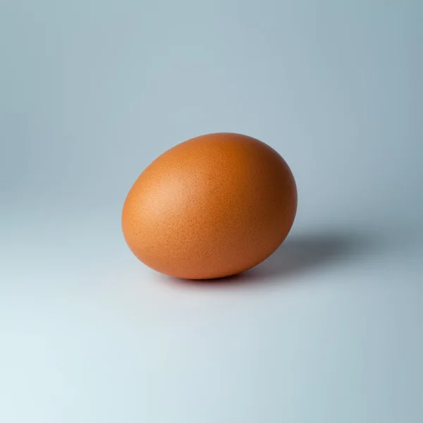 Однокоричневе куряче яйце — стокове фото