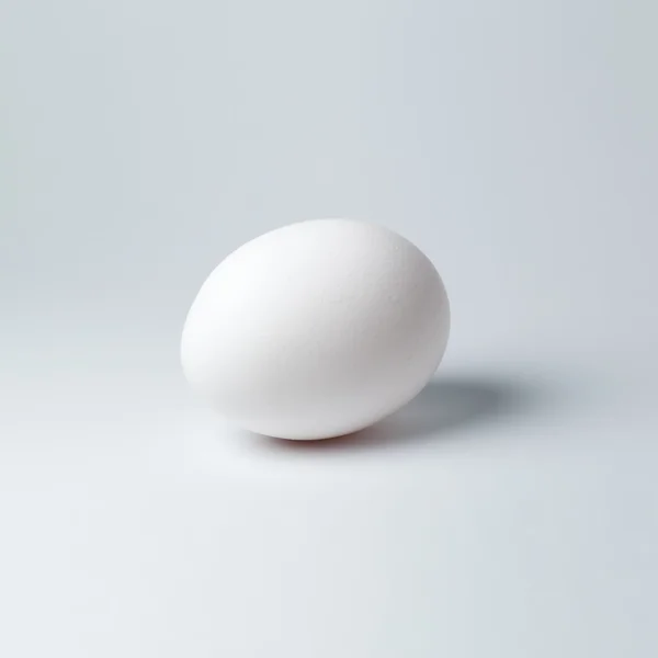 White egg on white background — Stock Photo, Image