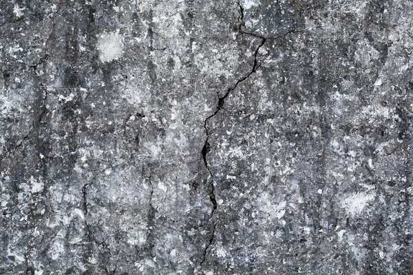 Çatallı beton duvar — Stok fotoğraf