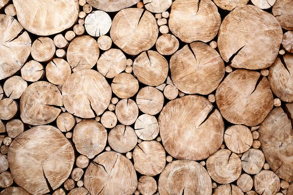 Árbol tocones fondo — Foto de Stock