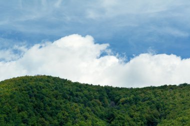 Forest hill mavi gökyüzü altında