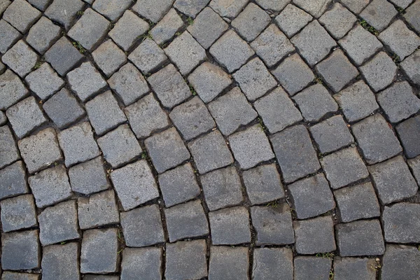 Stone pavement — Stock Photo, Image