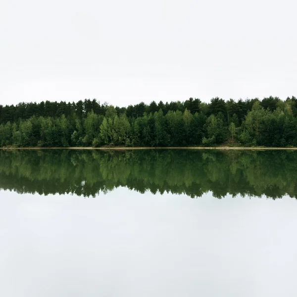 Reflet des arbres verts dans l'eau — Photo