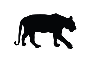 Beyaz arka planda izole edilmiş kaplan vektör silueti. Büyük vahşi kedi. Bengal kaplanı. Dövme işareti.