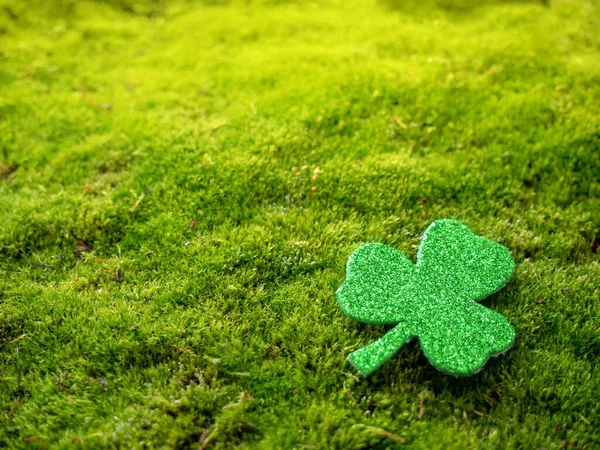Aziz Patrick Günü. Yosun ve yonca yoncalarının doğal arkaplanı ve metin için yeri var. İrlanda Tatili — Stok fotoğraf