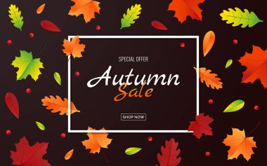 Güzel, renkli sonbahar yaprakları ve satış metniyle vektör illüstrasyonu. arka plan, afiş, poster ya da broşür tasarımı sosyal ağlar ve web üzerinde moda ve indirim reklamları için şablon