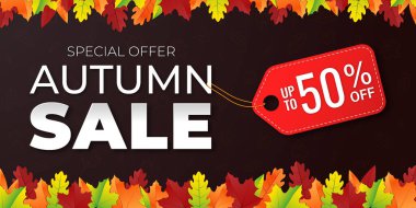 Güzel, renkli sonbahar yaprakları ve satış metniyle vektör illüstrasyonu. arka plan, afiş, poster ya da broşür tasarımı sosyal ağlar ve web üzerinde moda ve indirim reklamları için şablon