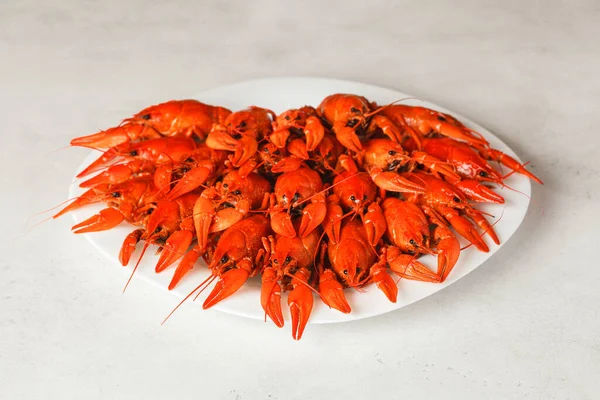 Crawfish Bouilli Frais Petites Grandes Écrevisses Sur Une Assiette — Photo