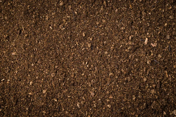 close up soil peat moss dirty background and texture