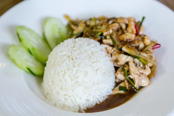 Thai mat Thai kryddig mat, stekt kyckling med söt basilika. — Stockfoto