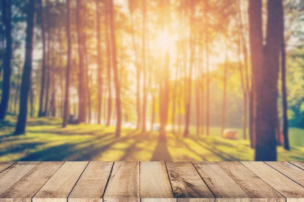 Abstract blurred pine tree and wood table with sunlight vintage — Stock Photo, Image